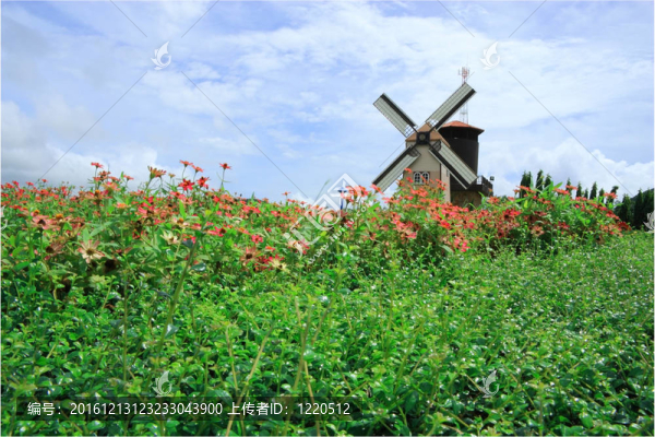 帶風(fēng)車(chē)的綠色花園