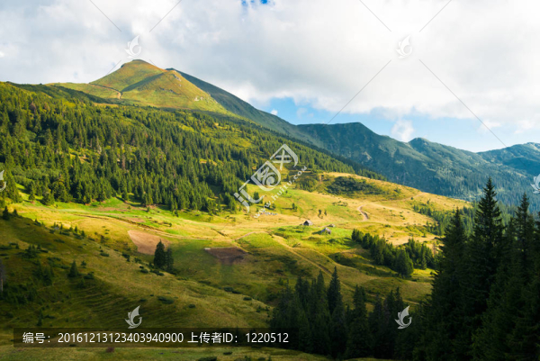 在烏克蘭喀爾巴阡山脈景觀