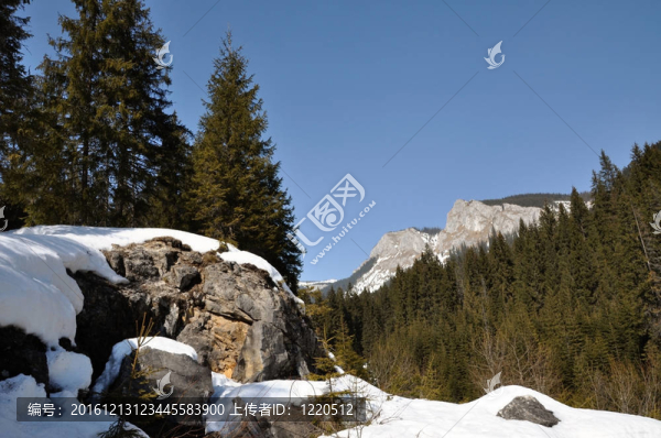 在喀爾巴阡山脈的雪山；Transylvania；羅馬尼亞