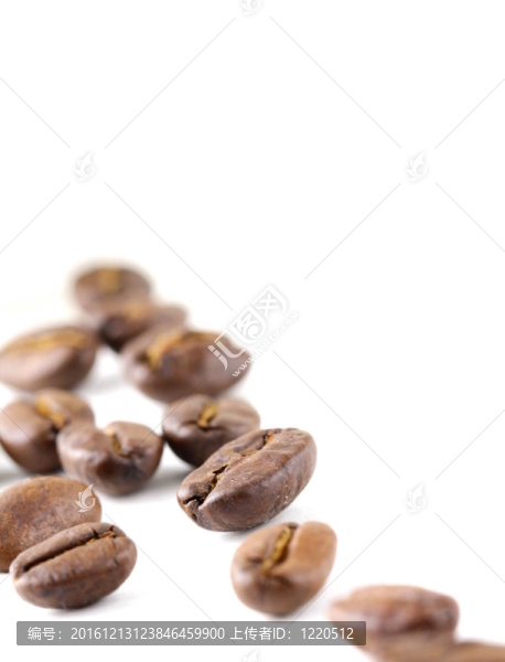 咖啡豆的微距鏡頭