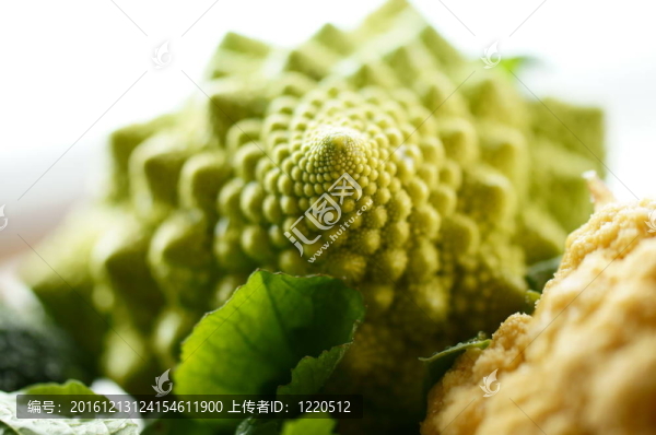 蔬菜