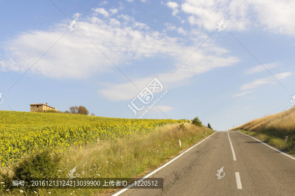 Val,d,Orcia（托斯卡納）景觀