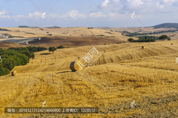 Val,d,Orcia（托斯卡納）景觀