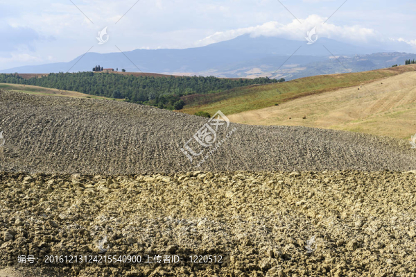 Val,d,Orcia（托斯卡納）景觀