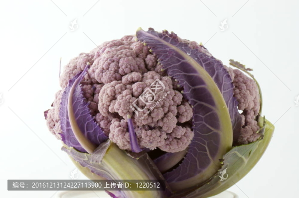菜花