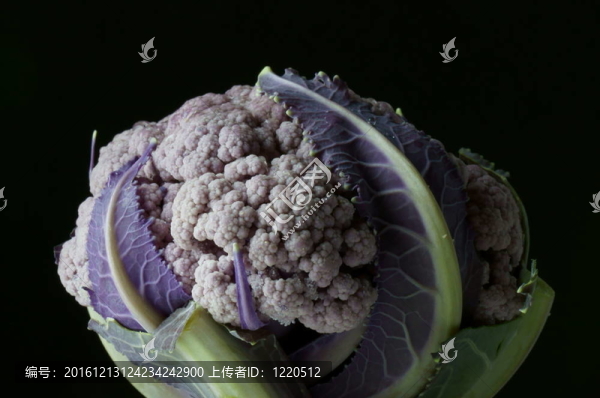 菜花