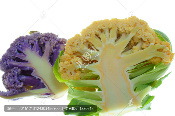 菜花