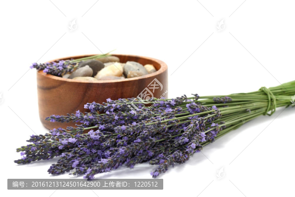 薰衣草SPA