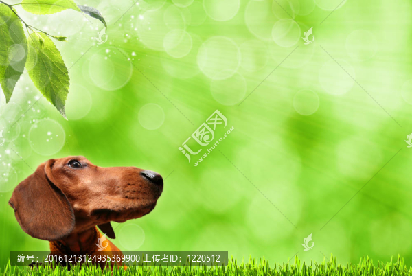 多好的天氣啊！摘要夏天的背景