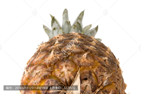 菠蘿