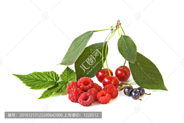 漿果