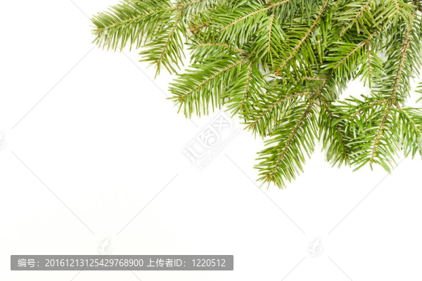 白色背景隔離雪的圣誕框架