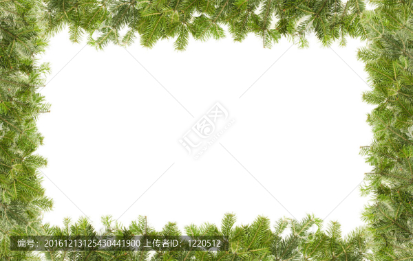 圣誕節(jié)框架隔離在WHI