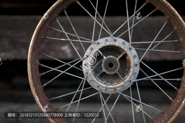 自行車車輪和輻條