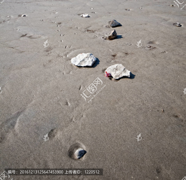 海灘上的石頭