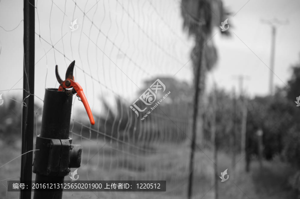 剪刀