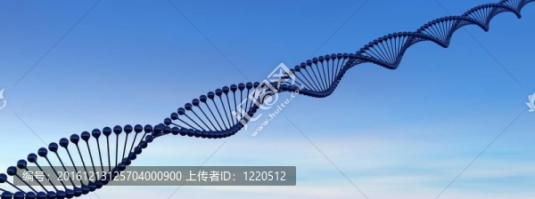 DNA鏈