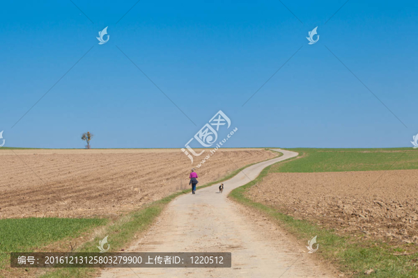 在鄉(xiāng)間散步
