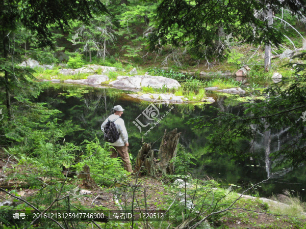 郊游野游