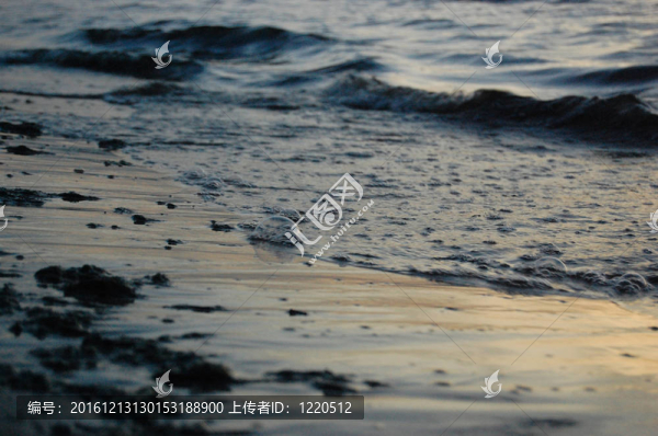 海