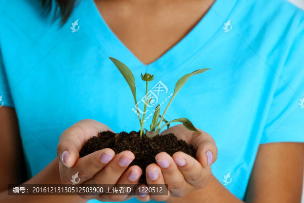 少女抱植物