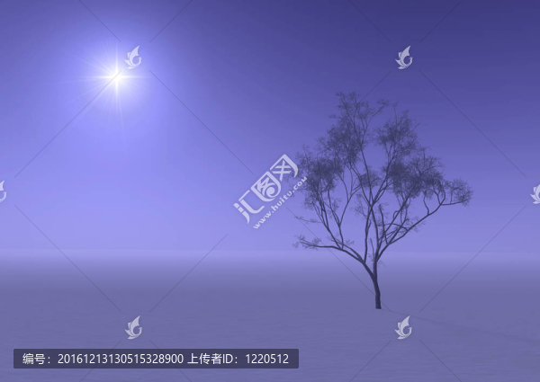 冬日陰霾中的樹