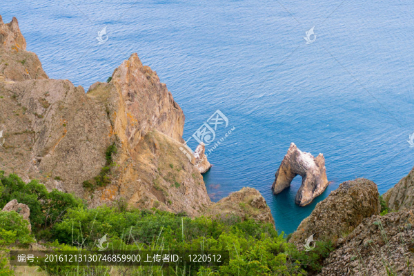 海
