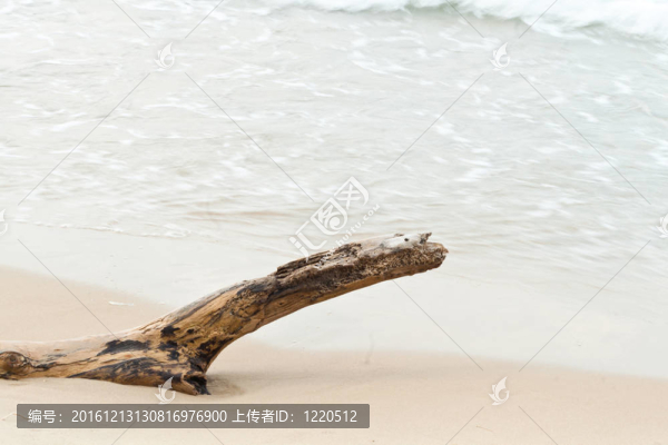 木墻背景或紋理