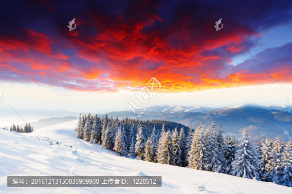 冬季景觀