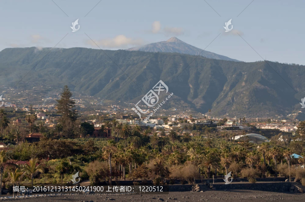 泰德火山