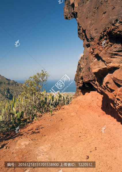 山阿那加