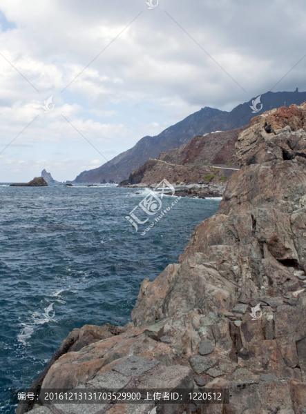 海灘附近的山坡上