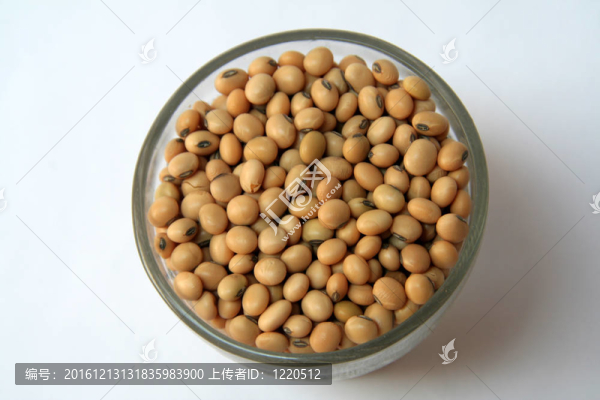 黃豆粒