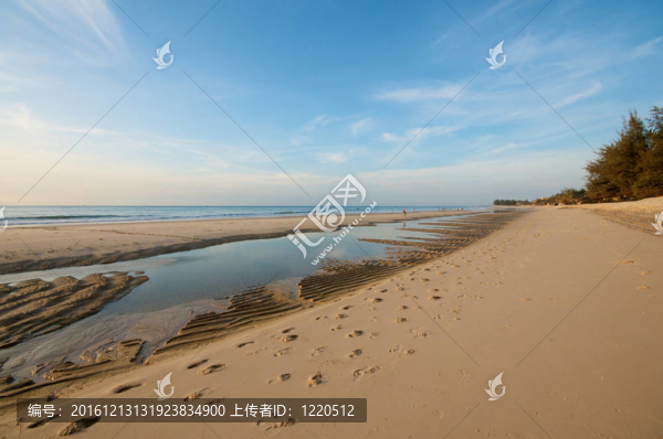 美麗的海灘在越南