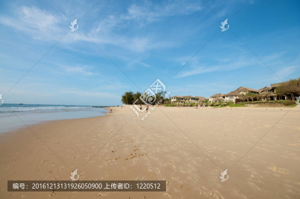 美麗的海灘在越南