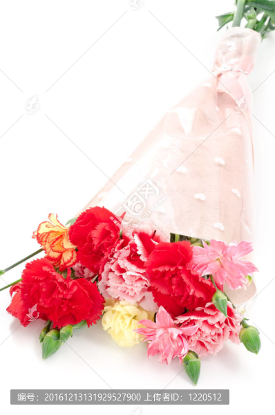 康乃馨花束