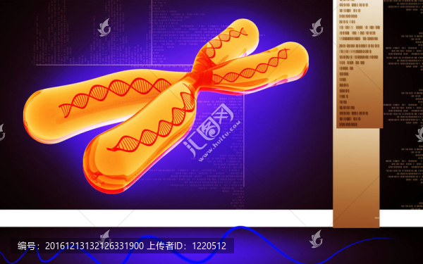 染色體