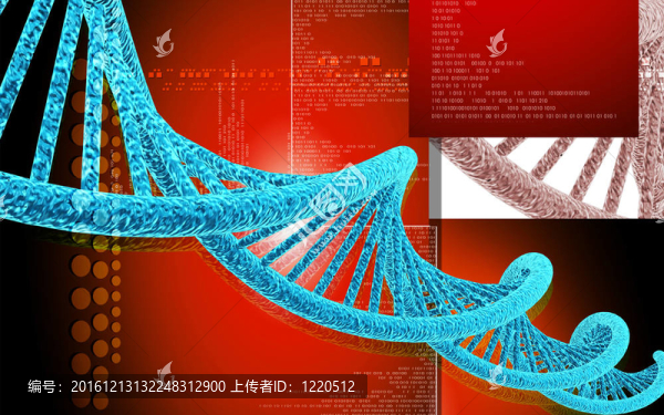 DNA