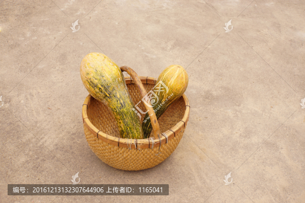提簍,南瓜