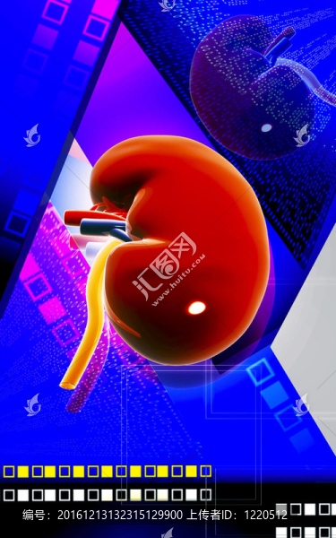 腎