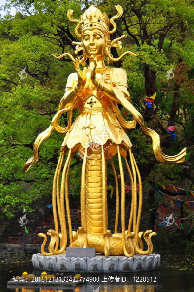 圣潔女神時期洼