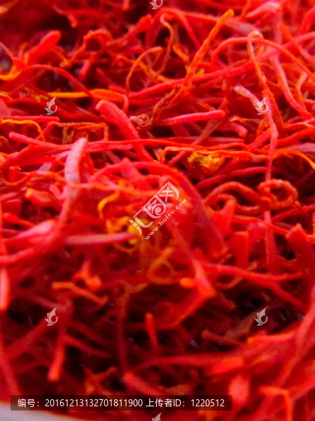 藏紅花花絲