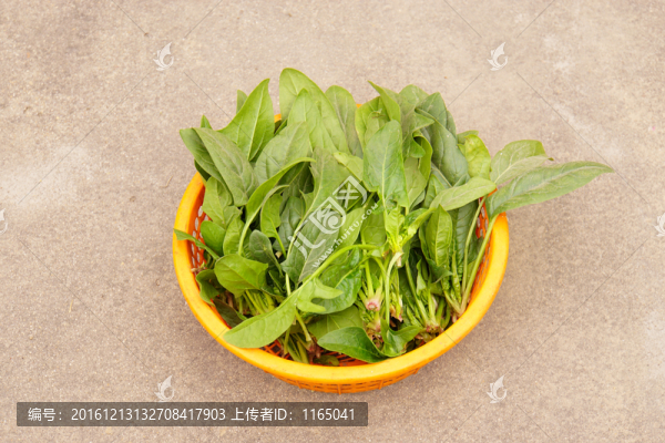 菠菜