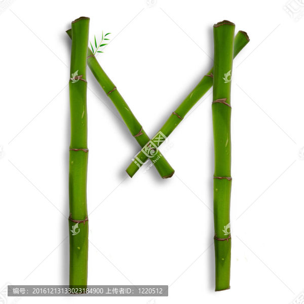 一個(gè)大寫字母的竹字母與陰影超過(guò)白色