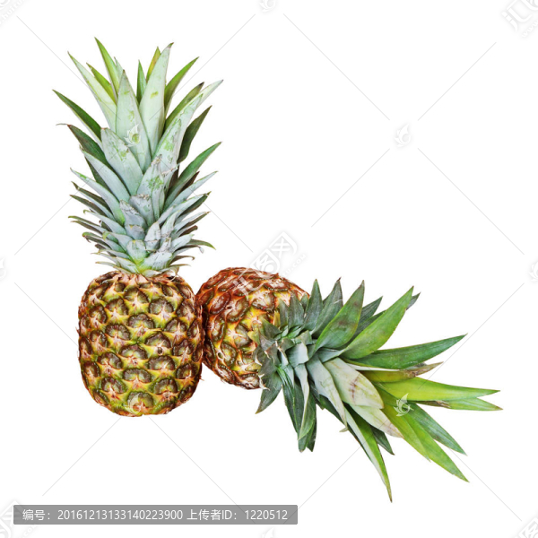 白兩個菠蘿