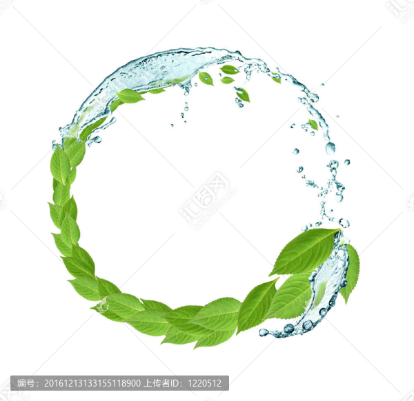 葉子和水
