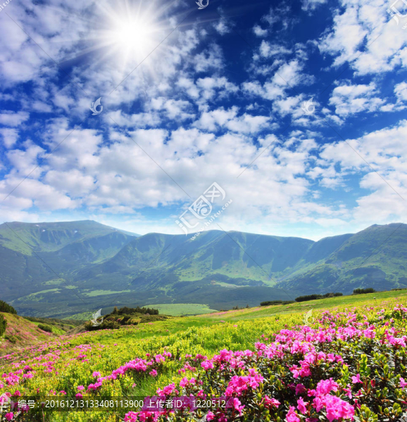 花