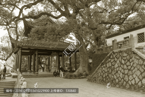 杭州西湖懷舊照片