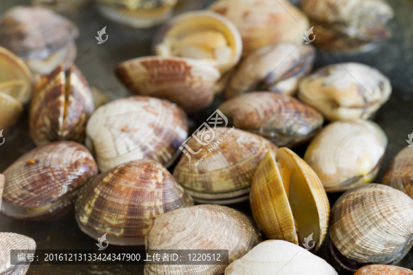 炒蛤蜊