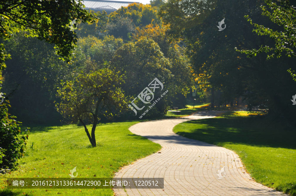 神秘陰暗的綠色小巷在富爾達(dá)公園里的樹(shù)木；他
